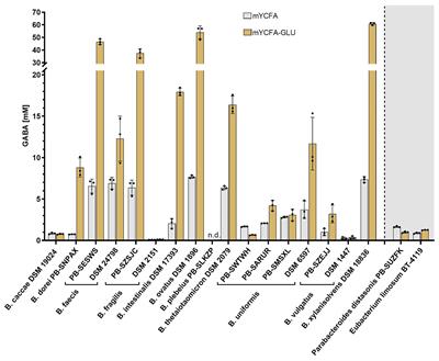 GABA Production by Human Intestinal Bacteroides spp.: Prevalence, Regulation, and Role in Acid Stress Tolerance